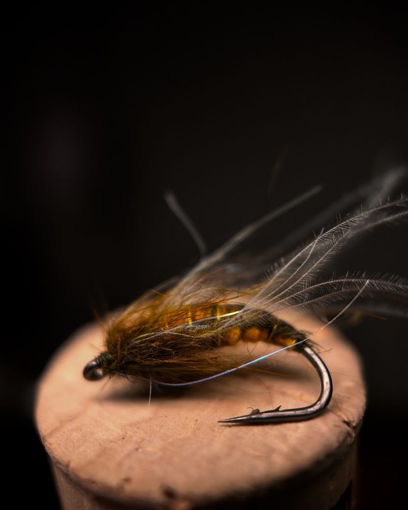 The Caddis Pupa Variant