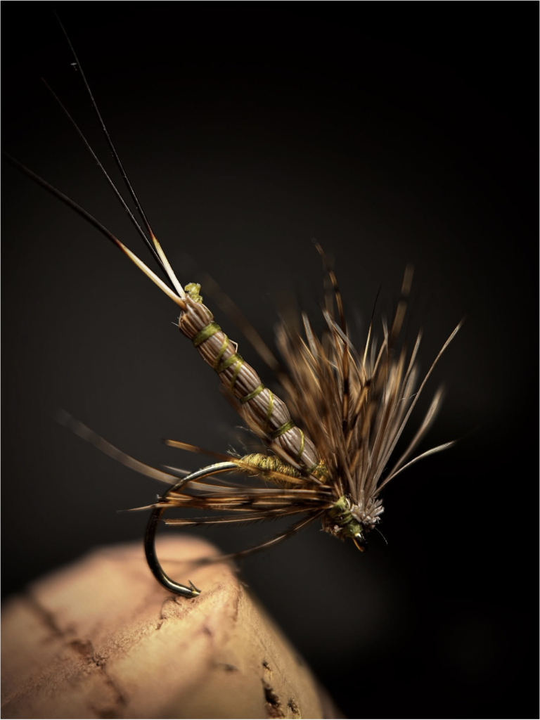 The mayfly Extended Body